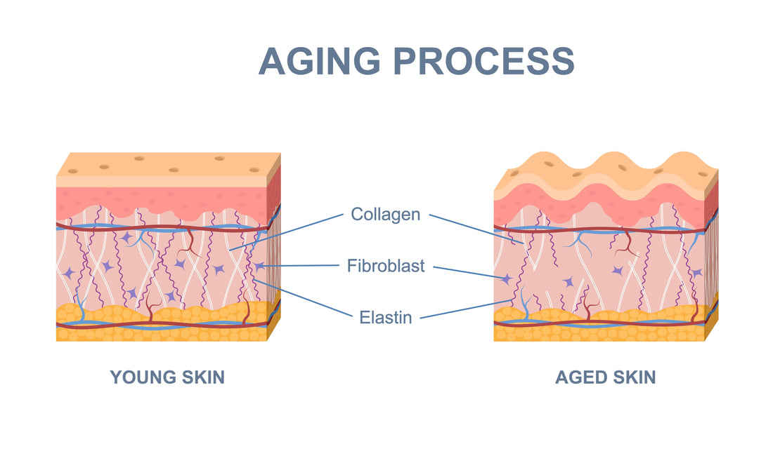 Our Enemies: Dark Spots and Skin Aging!